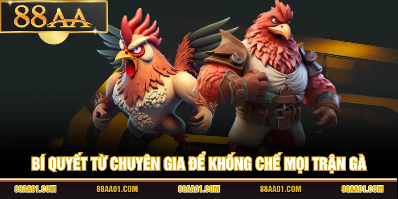 Bí quyết từ chuyên gia để khống chế mọi trận gà