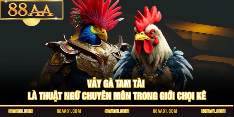 Vảy gà Tam Tài là thuật ngữ chuyên môn trong giới chọi kê